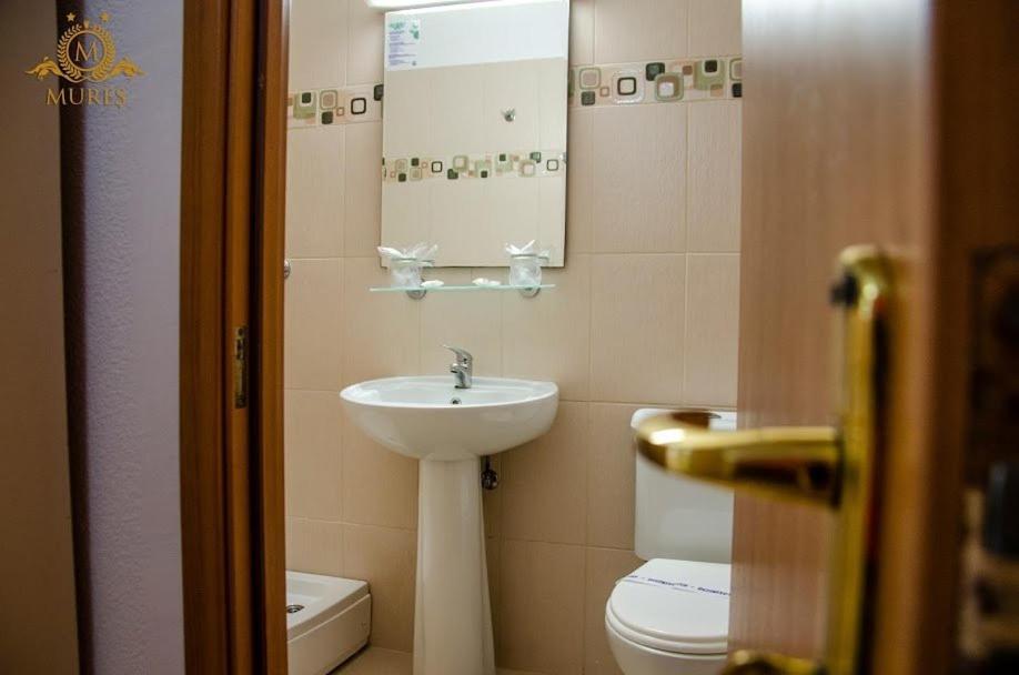 סאטורן Hotel Mures מראה חיצוני תמונה